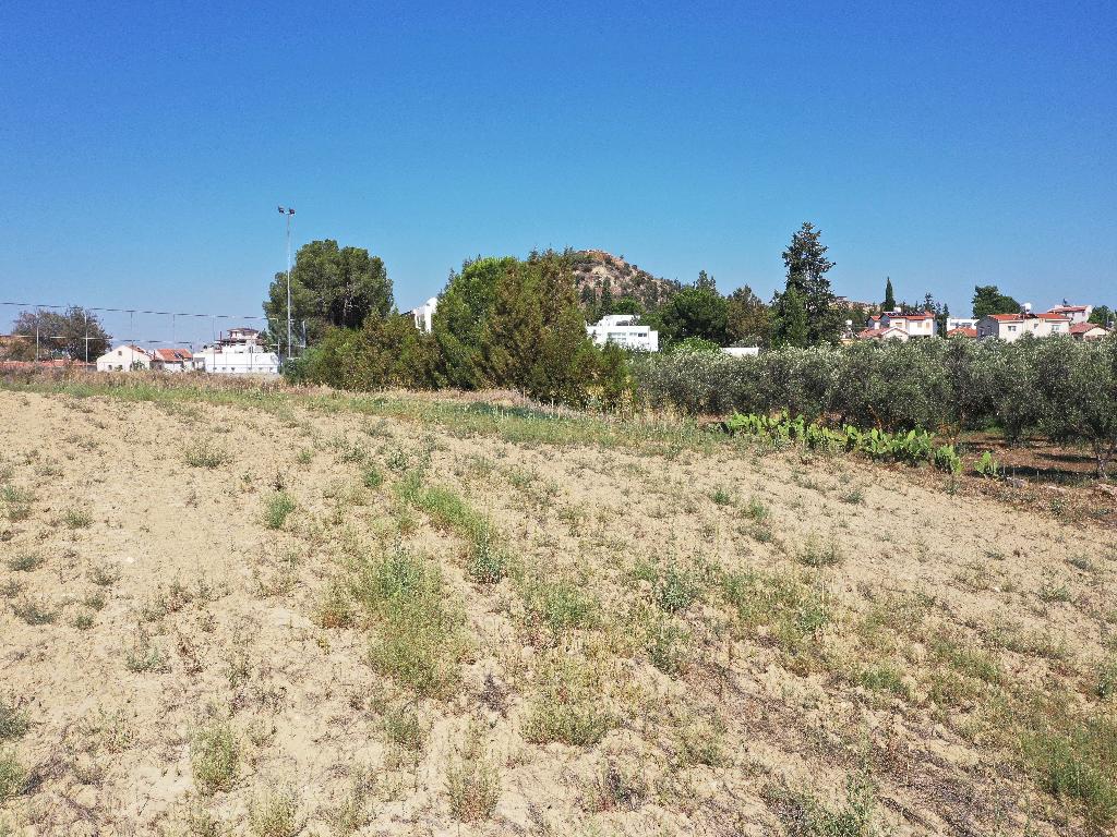 Field - Pera, Nicosia