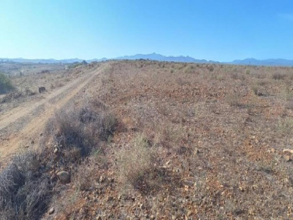Field-Pano Deftera-PR33237
