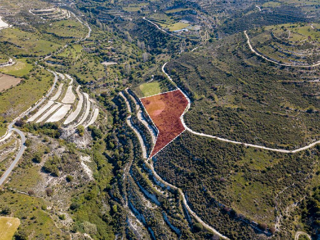 Field - Arsos, Limassol