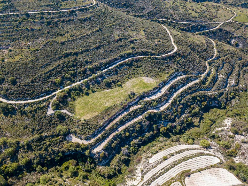 Field - Arsos, Limassol