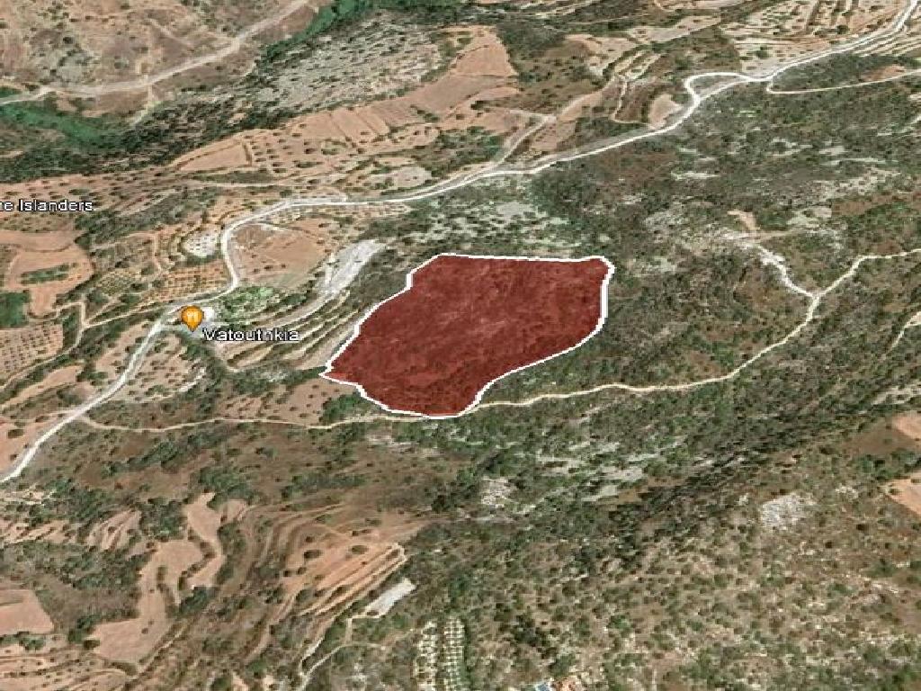 Field - Koili, Paphos