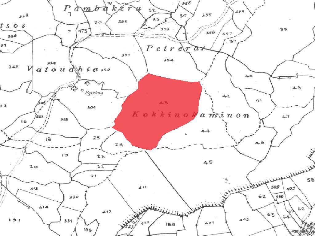 Field - Koili, Paphos