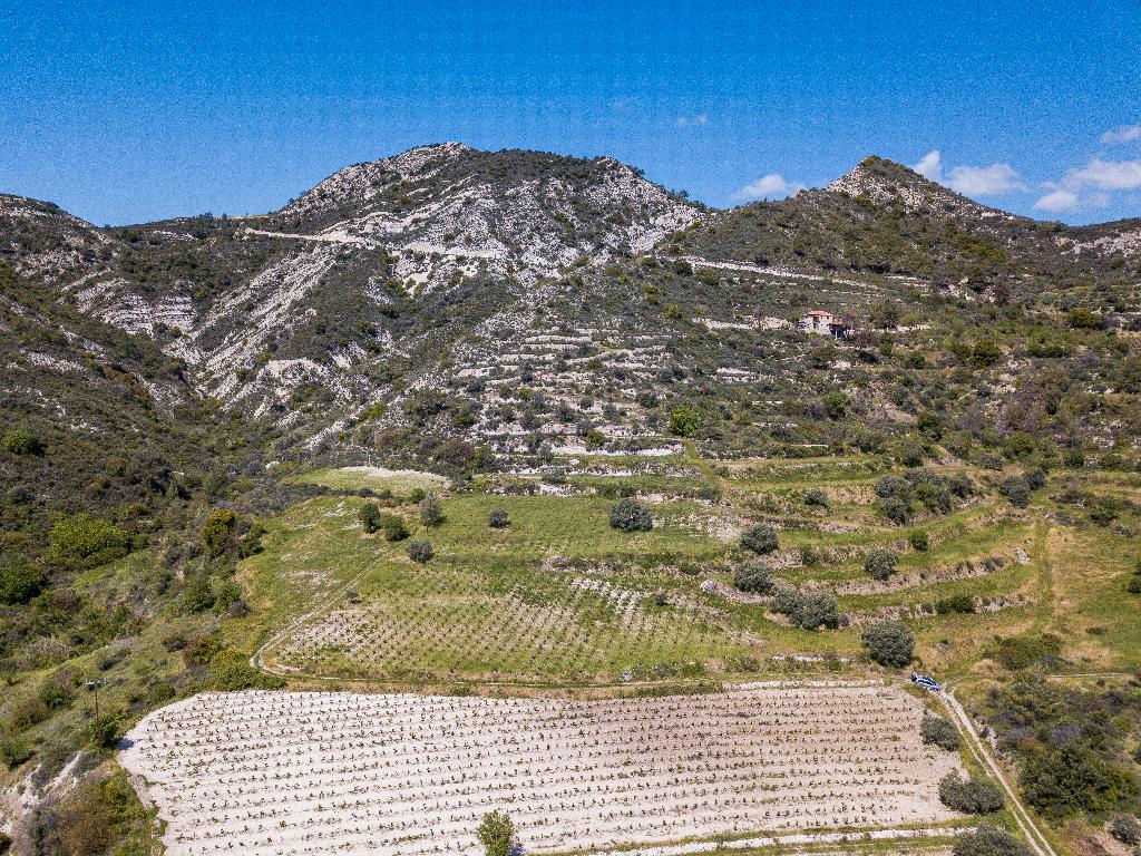 Field-Agios Mamas-PR36499