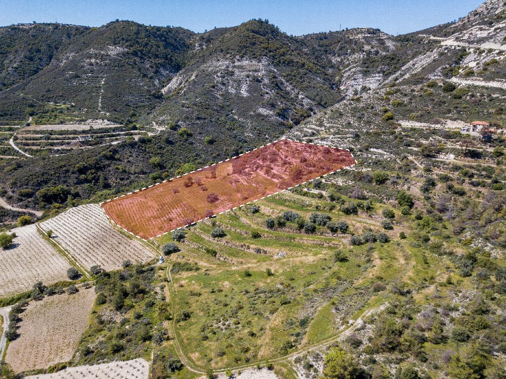 Field-Agios Mamas-PR36499