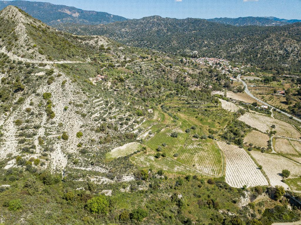 Field-Agios Mamas-PR36499