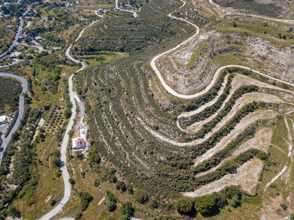 Field-Agios Amvrosios-PR36626