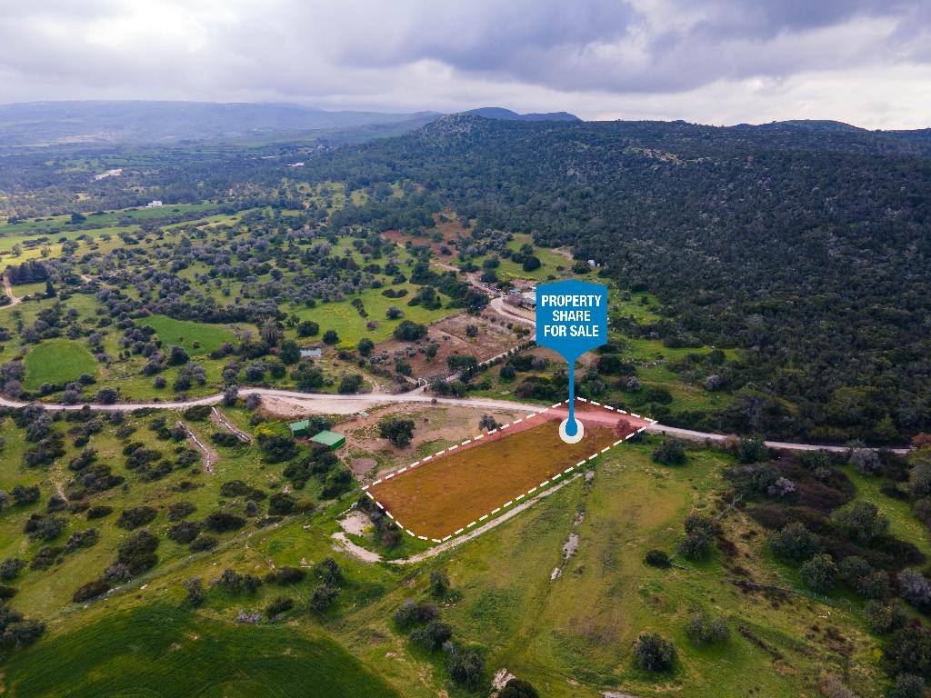 Field (Share) - Neo Chorio, Paphos