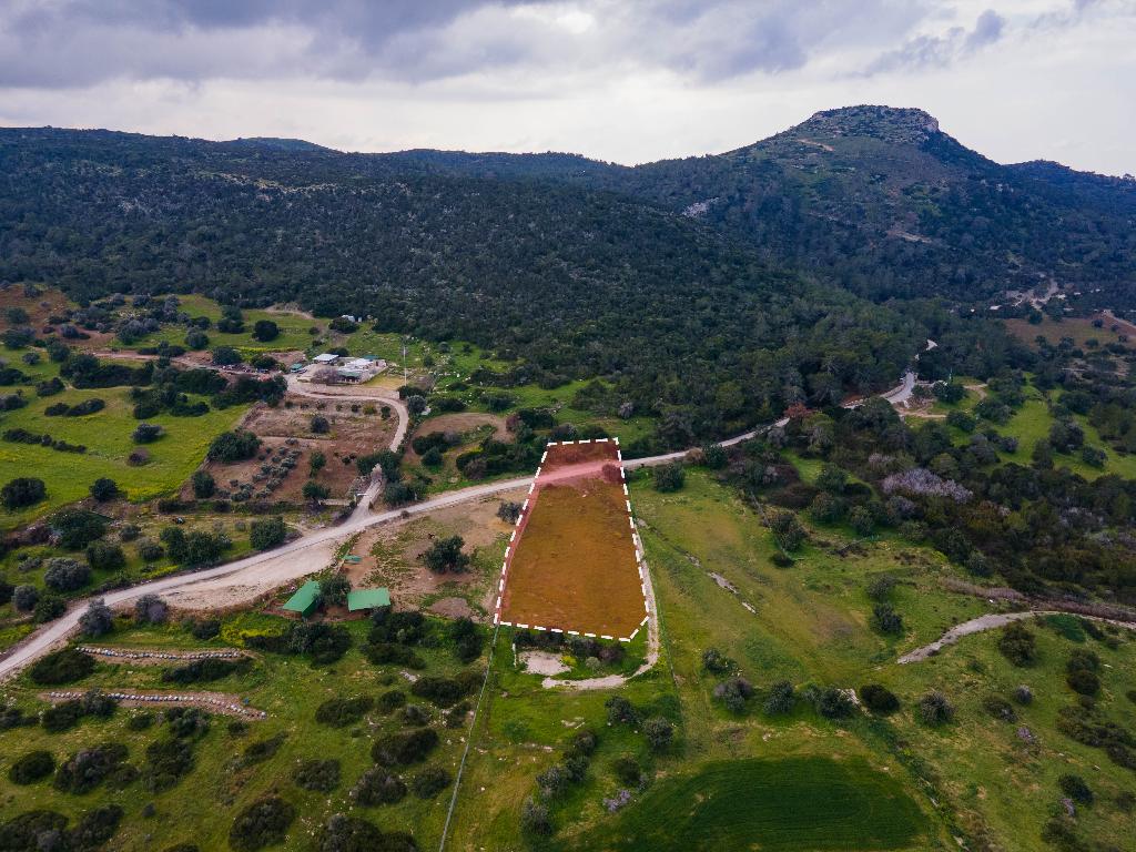 Field (Share) - Neo Chorio, Paphos