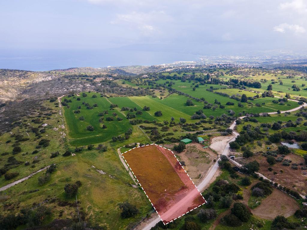 Field (Share) - Neo Chorio, Paphos