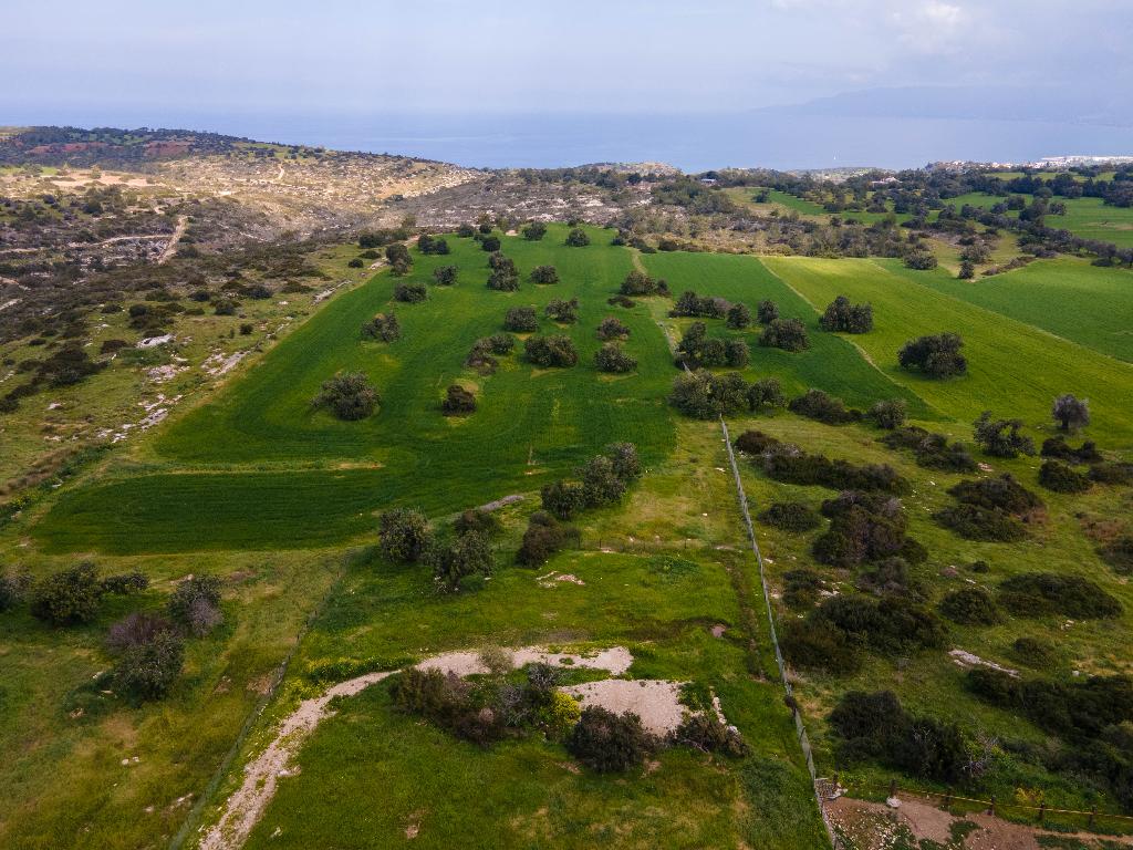 Field (Share) - Neo Chorio, Paphos
