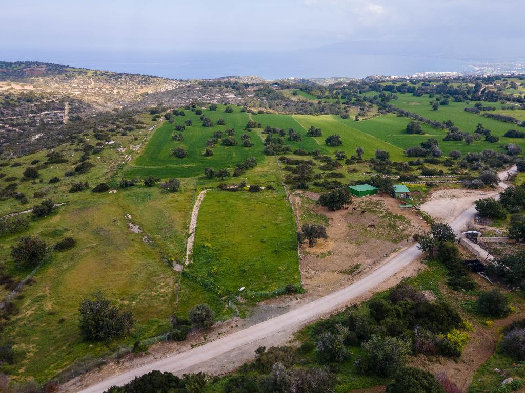 Field (Share) - Neo Chorio, Paphos