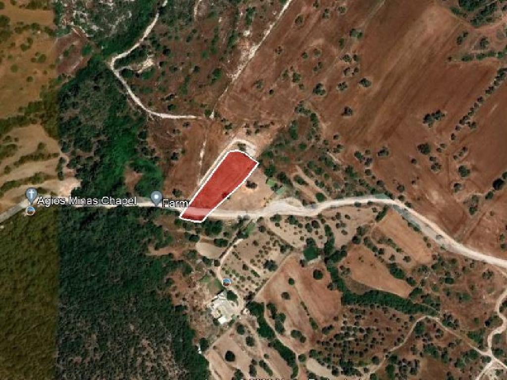 Field-New Chorio-PR37475