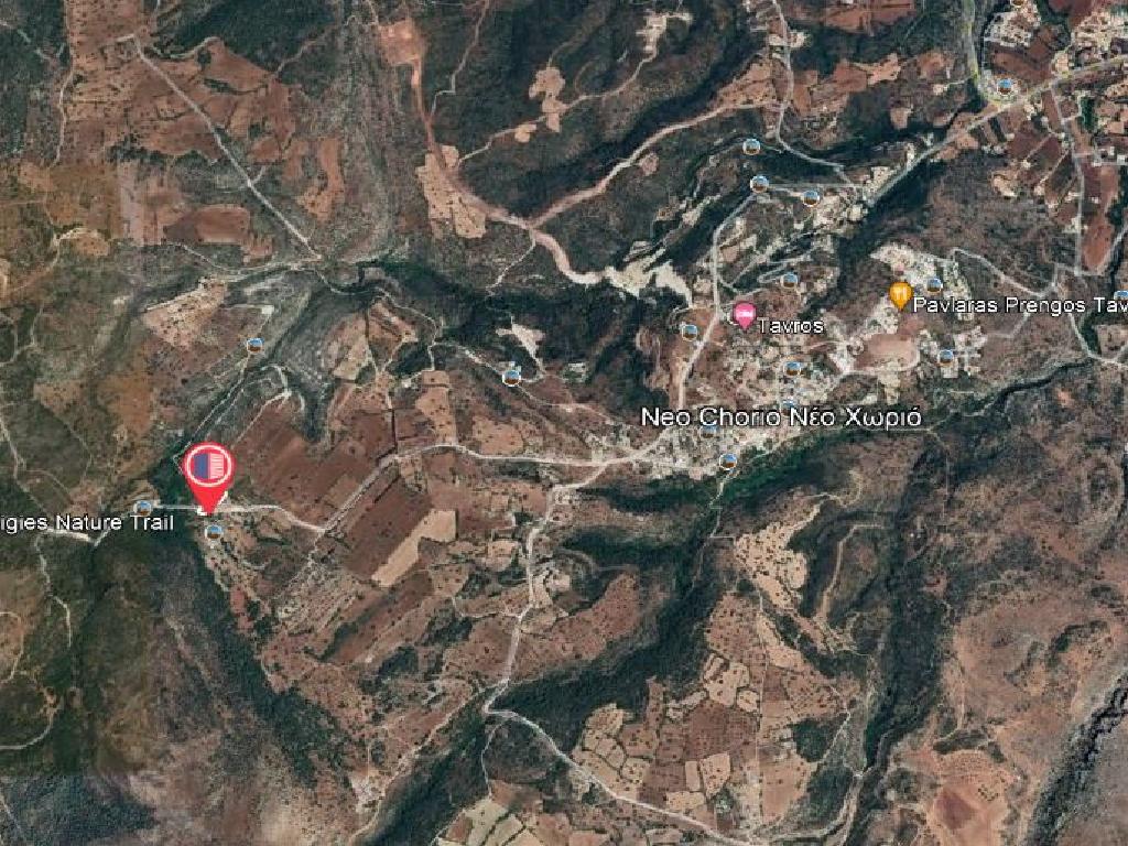 Field-New Chorio-PR37475