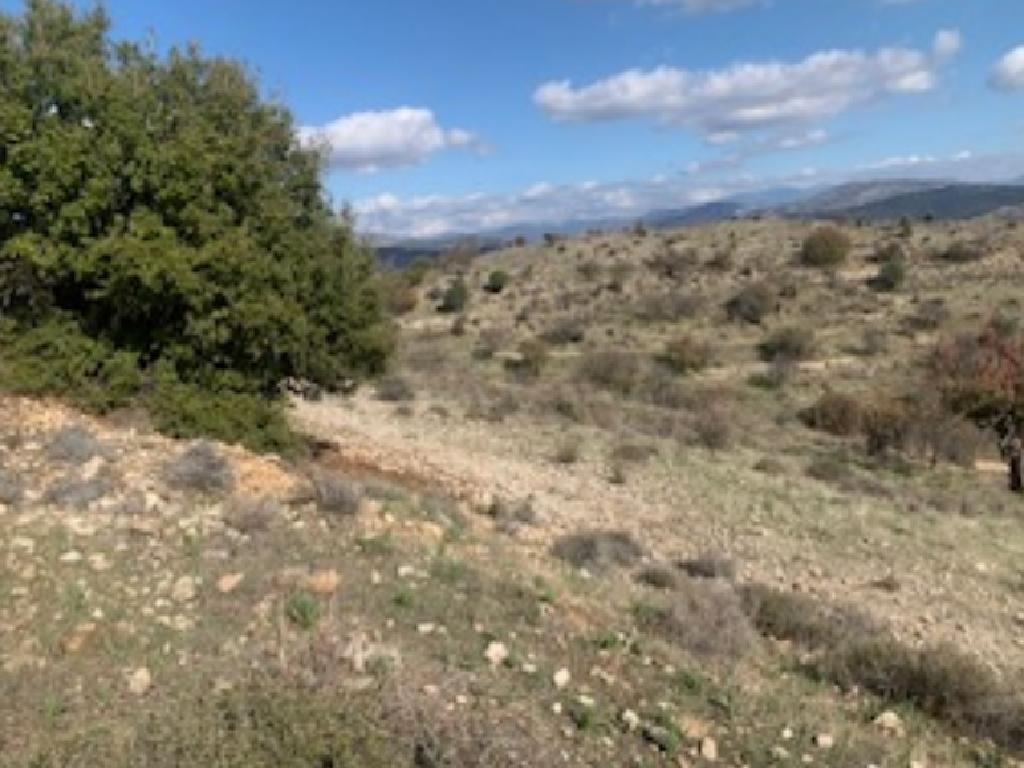 Field-Nata-PR37265