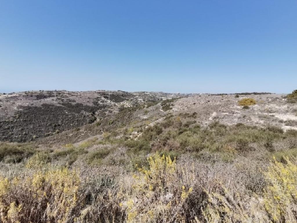 Field - Tsada, Paphos