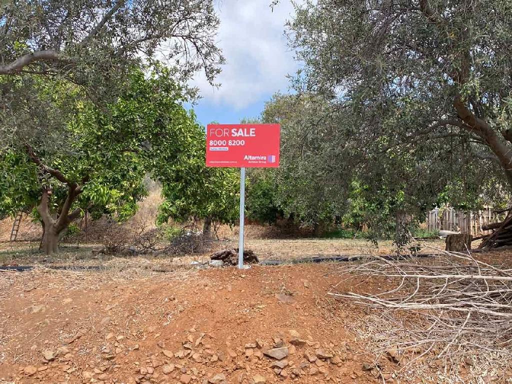 Field-Nea Dimmata-PR37936
