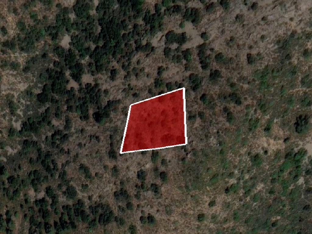 Field-Odou-PR37526
