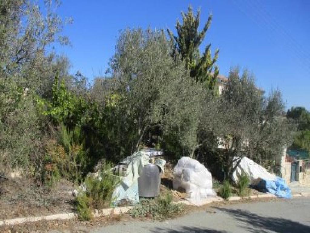 Plot - Kathikas, Paphos