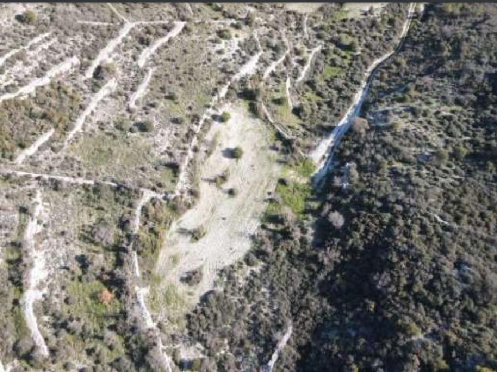 Field - Arminou, Paphos
