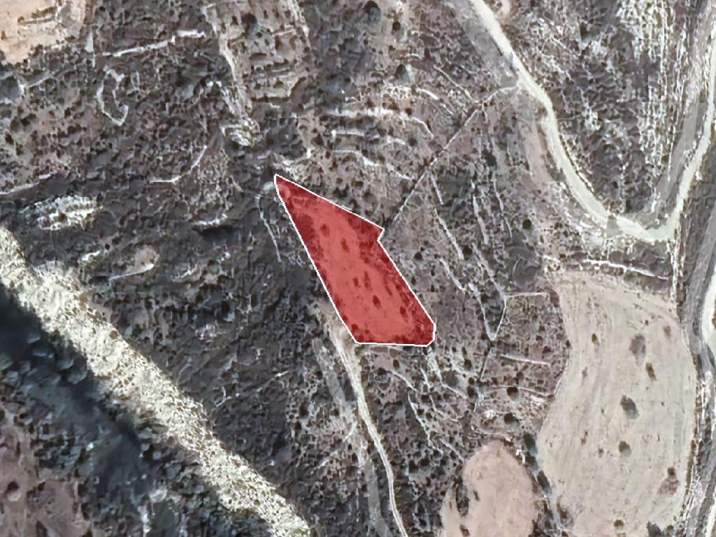Field - Arminou, Paphos