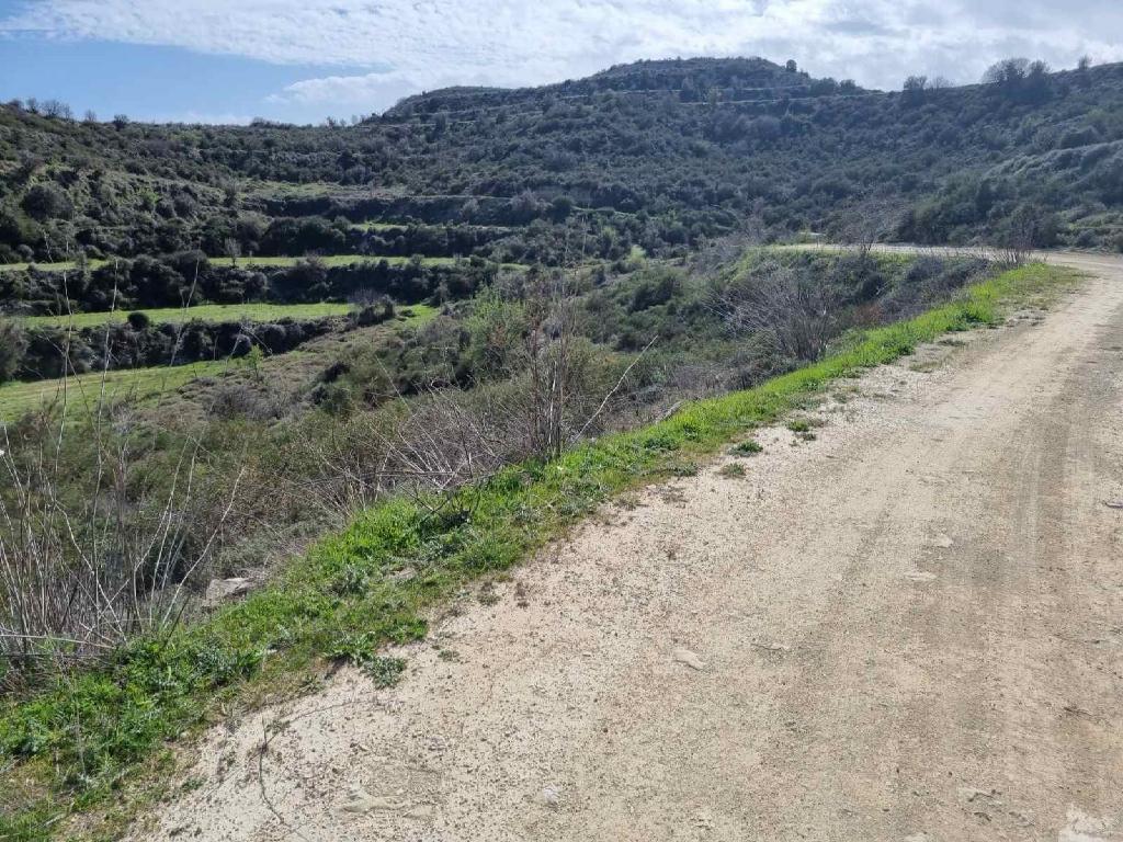 Field-Agios Amvrosios-PR39482