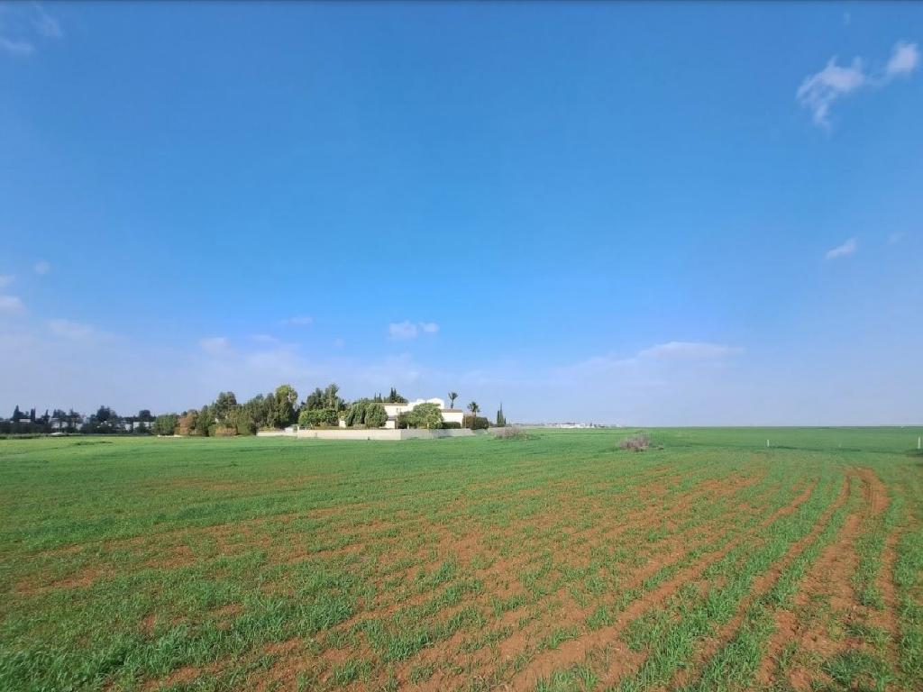 Field-Geri-PR39930