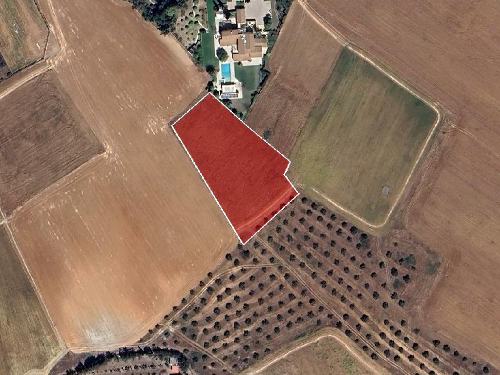 Field-Geri-PR39930