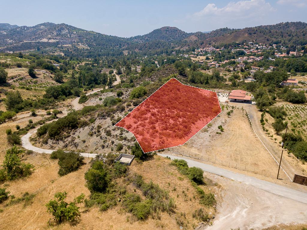 Field-Mandria-PR40067