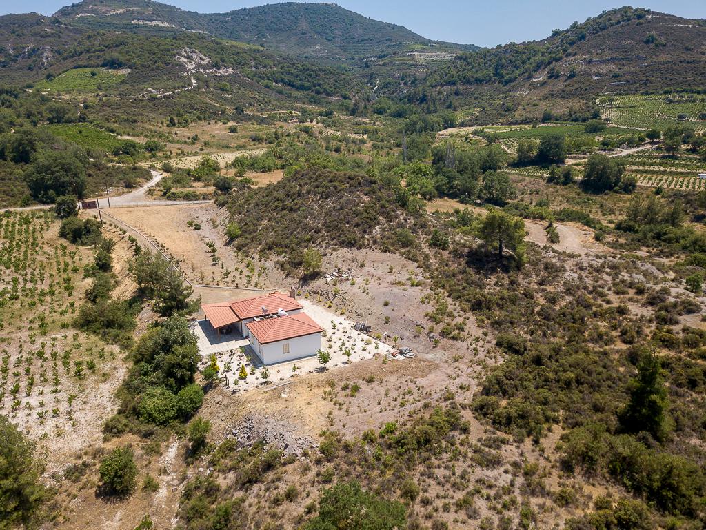 Field-Mandria-PR40067