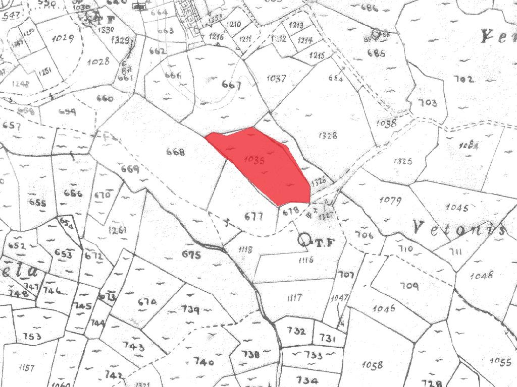 Field-Mandria-PR40067