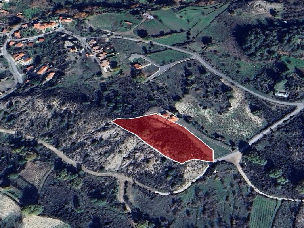 Field-Mandria-PR40067