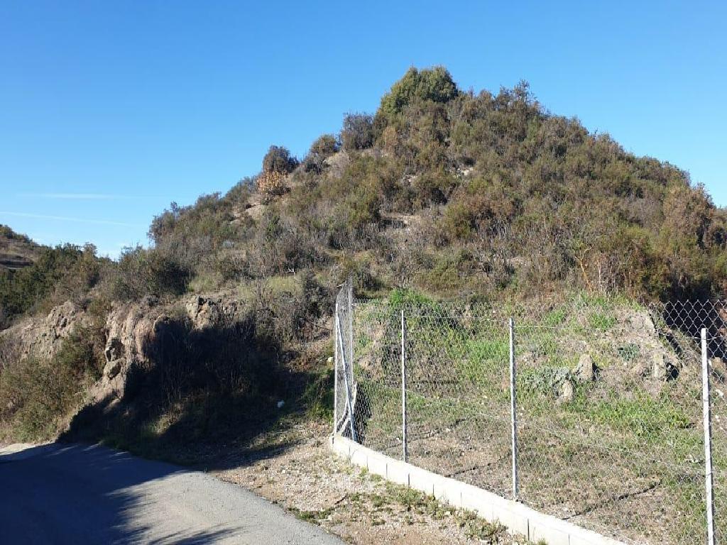 Field-Mandria-PR40067