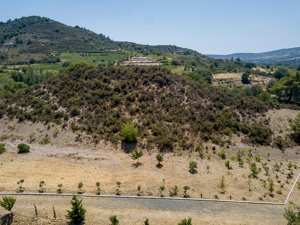 Field - Mandria, Limassol