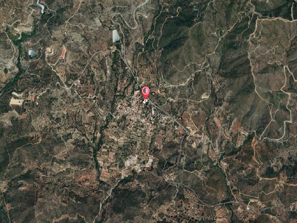 Field-Ora-PR40940