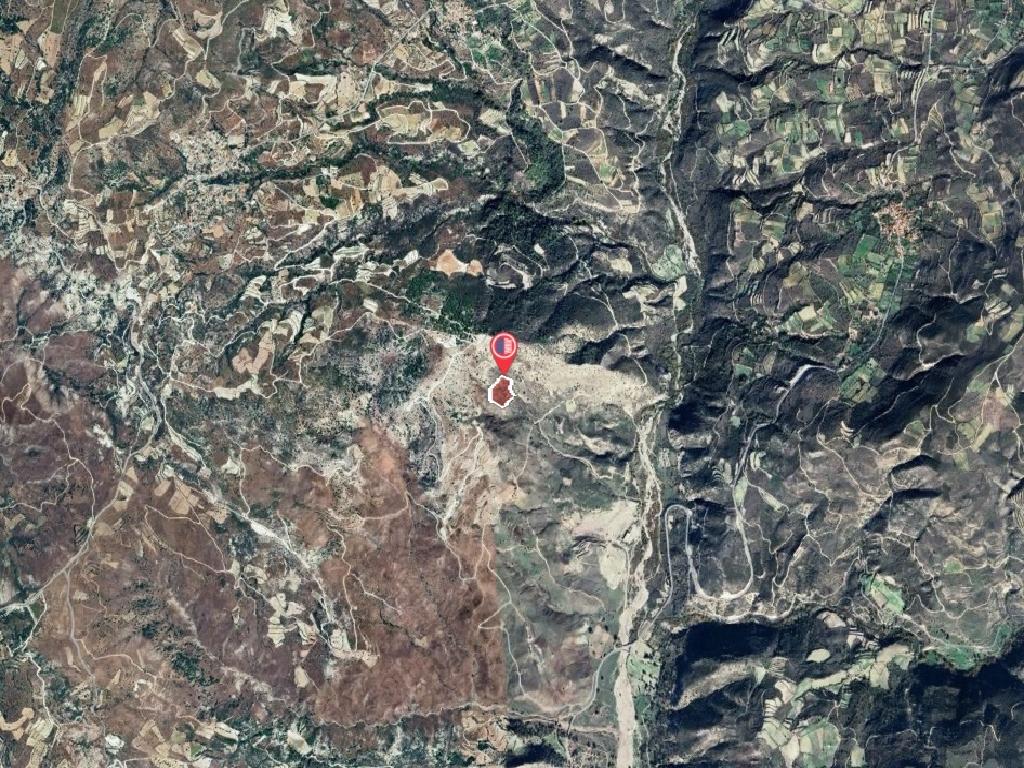 Field-Kedares-PR41262