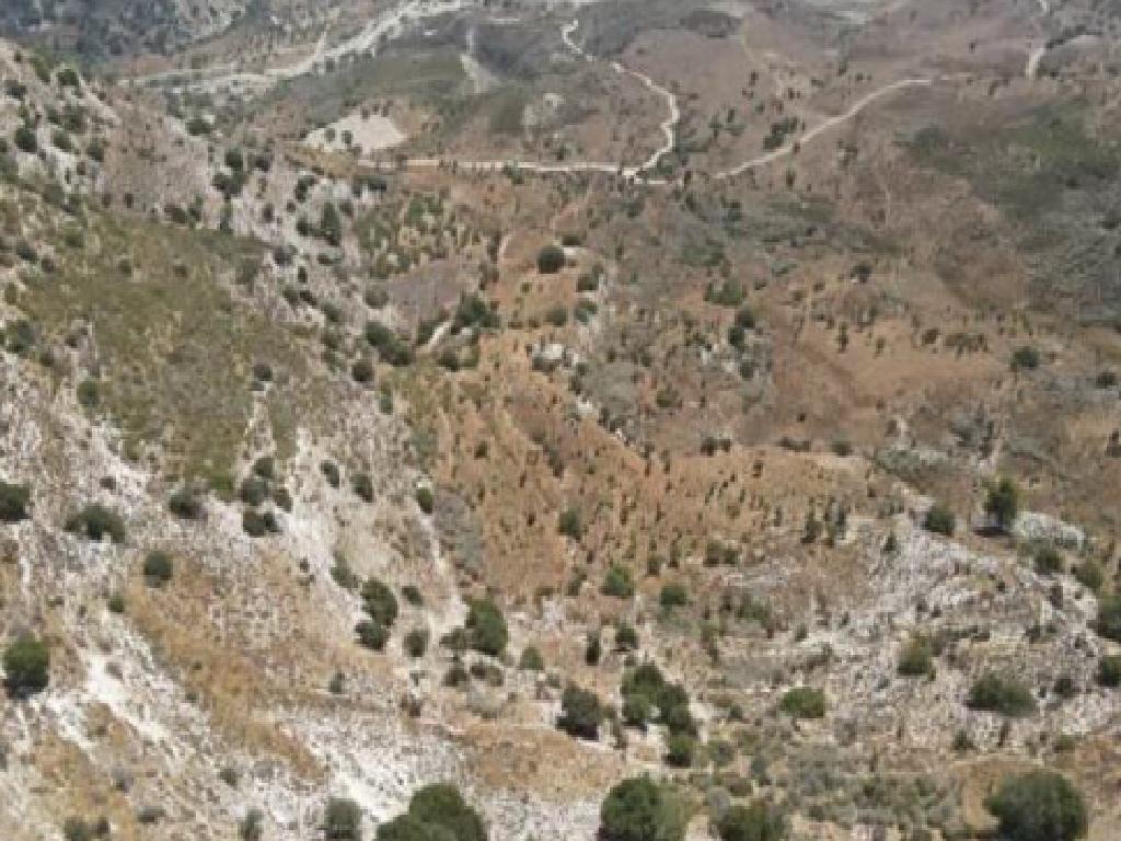 Field-Kedares-PR41262