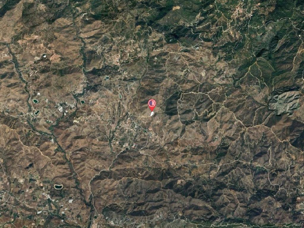 Field-Ora-PR41810