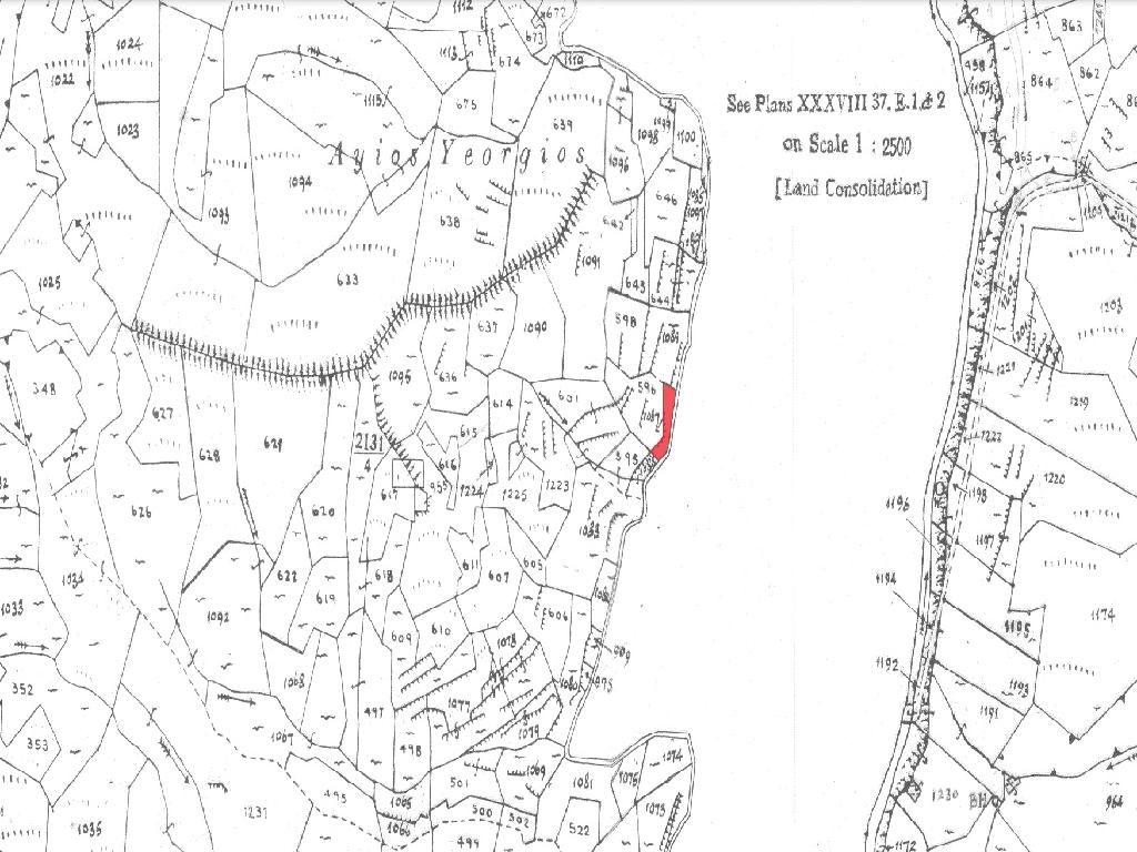 Field-Palaichori Orinis-PR41924