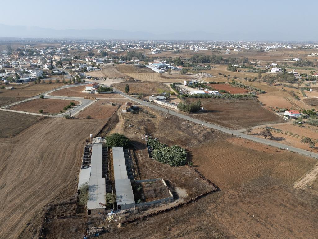 Field-Paleometocho-PR42116