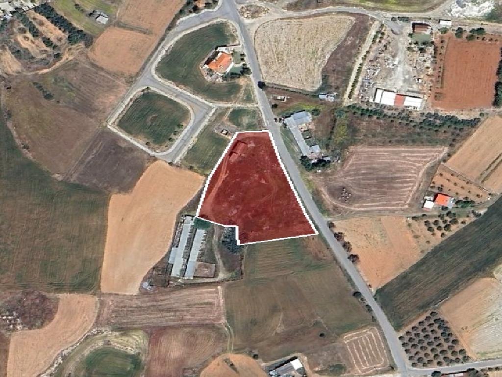 Field-Paleometocho-PR42116