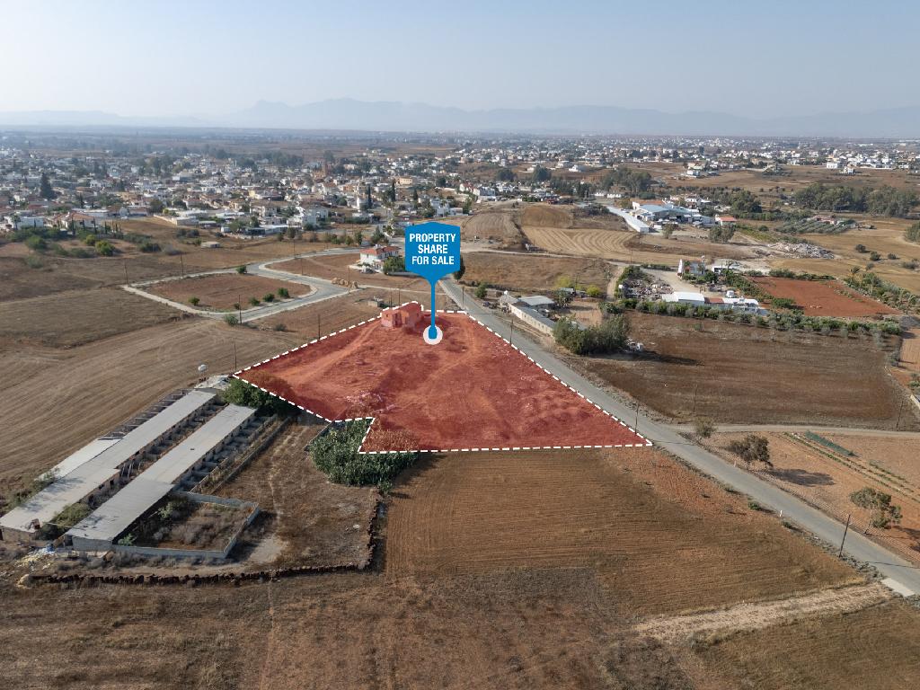 Field-Paleometocho-PR42116