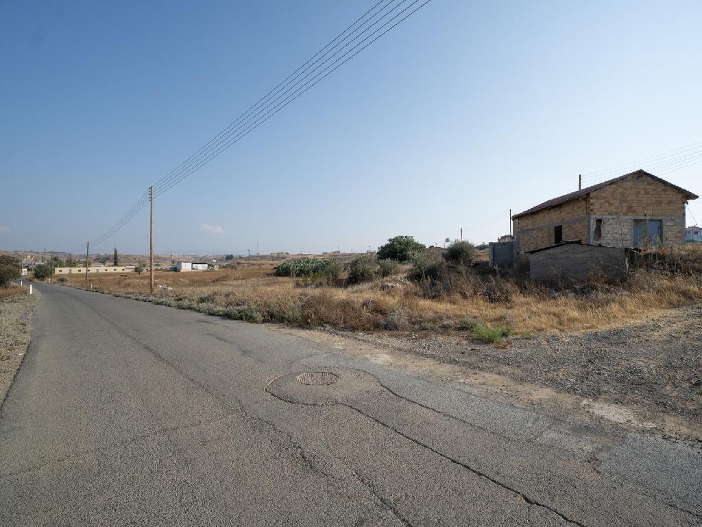 Field-Paleometocho-PR42116