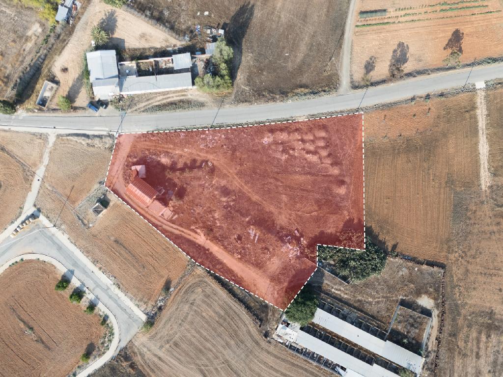 Field-Paleometocho-PR42116