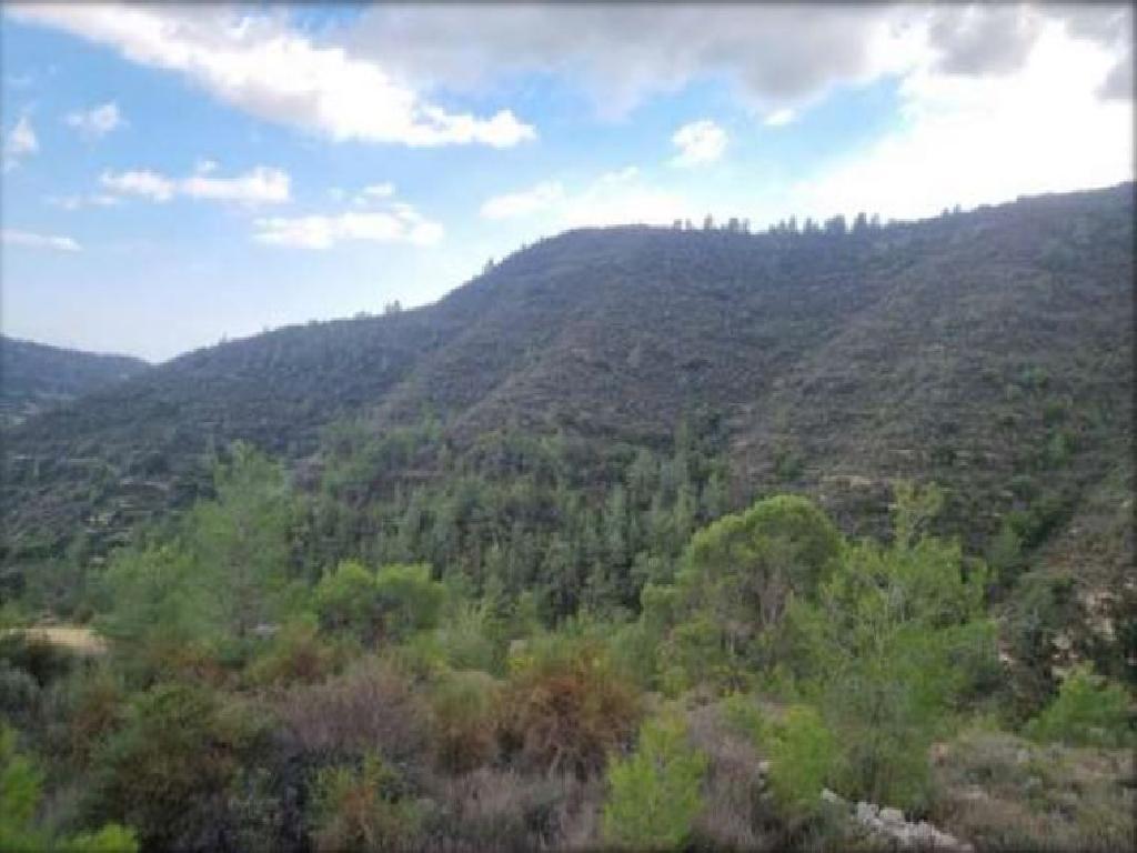 Field-Agios Georgios-CP10099