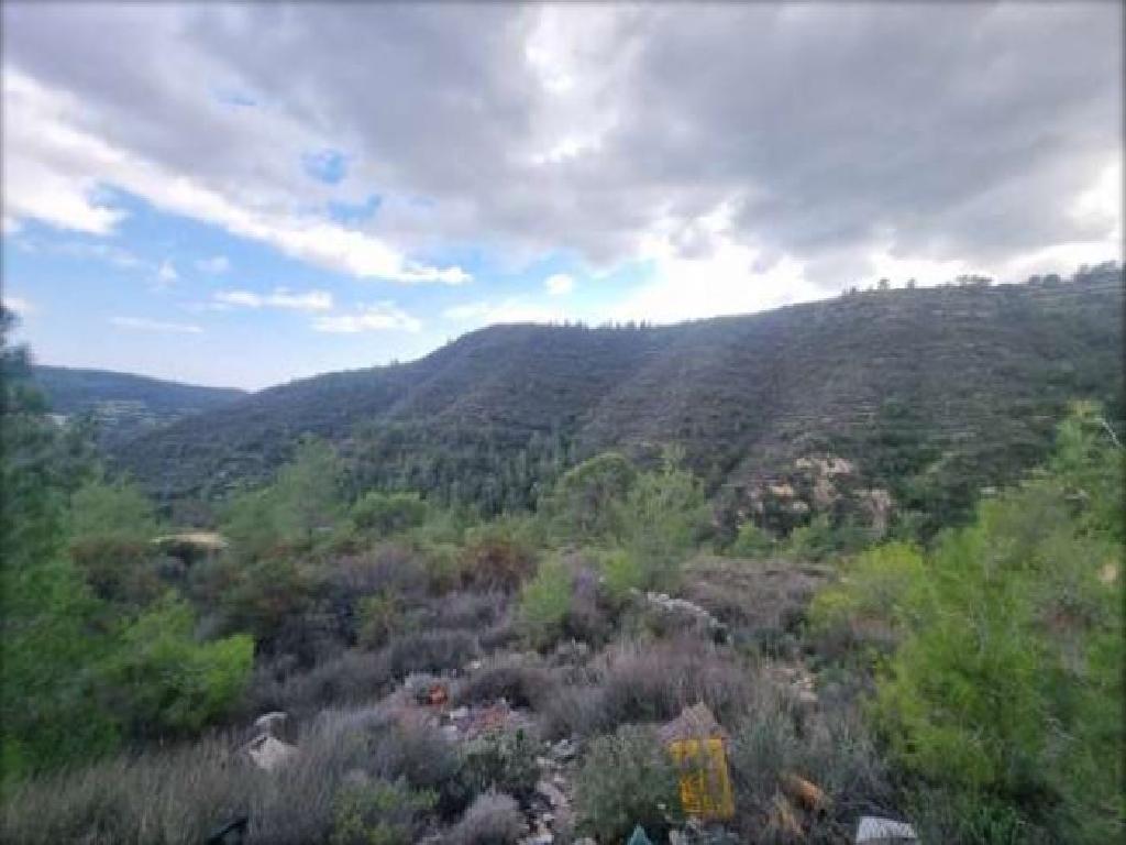 Field-Agios Georgios-CP10099