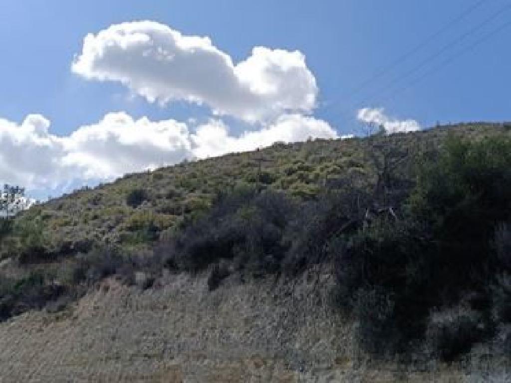 Field-Agios Georgios-CP10099