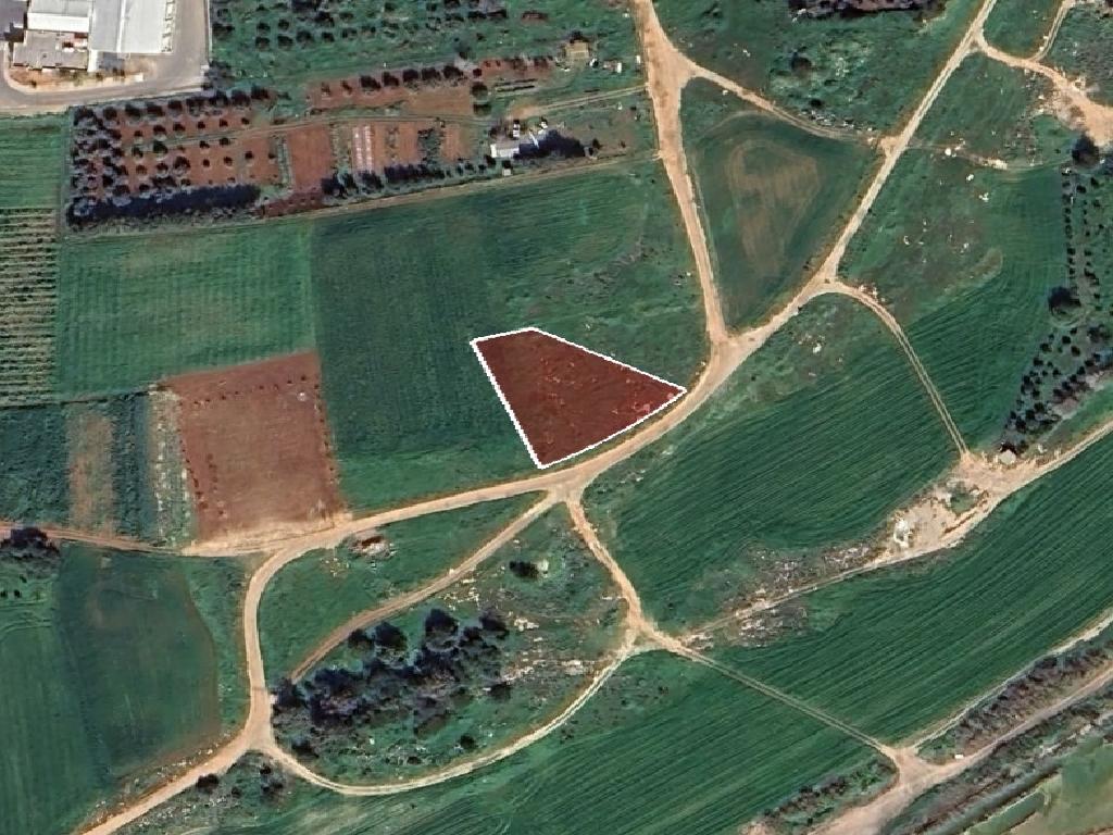 Field-Deryneia-PR42373