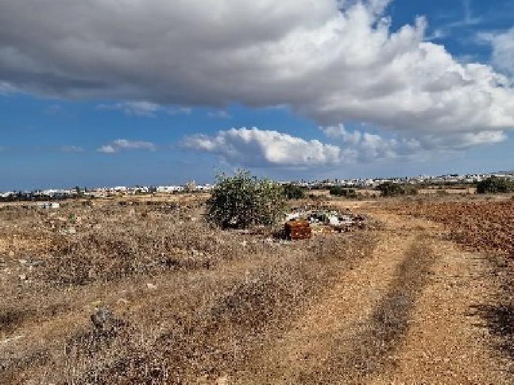 Field-Deryneia-PR42373