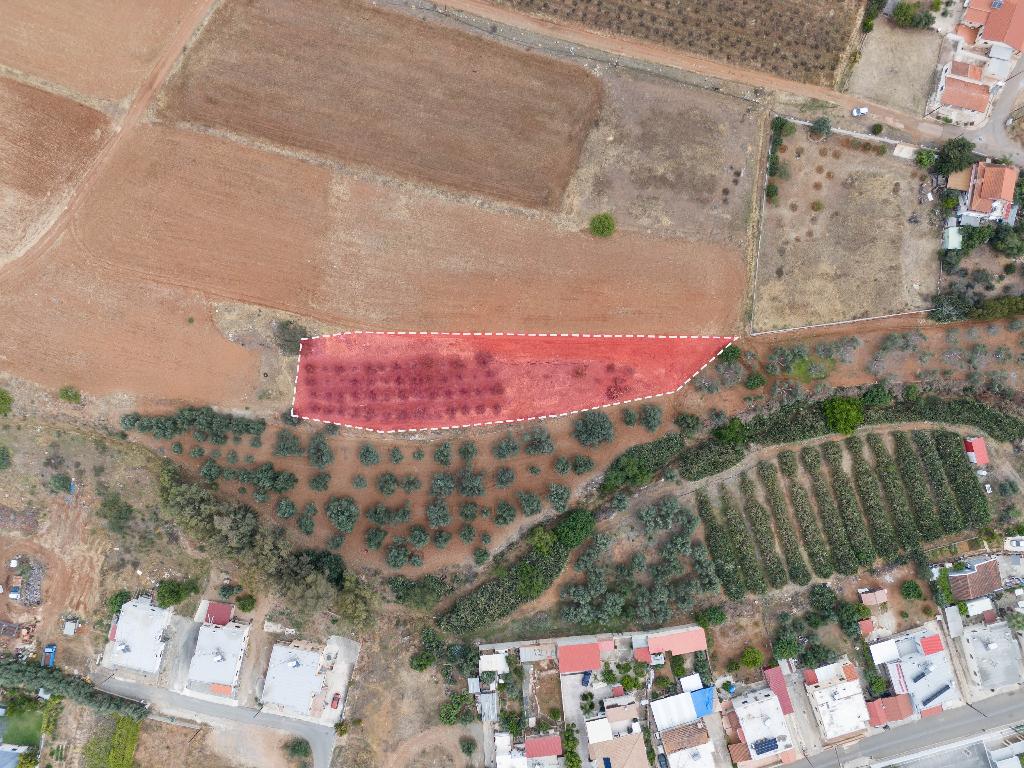 Field - Astromeritis, Nicosia