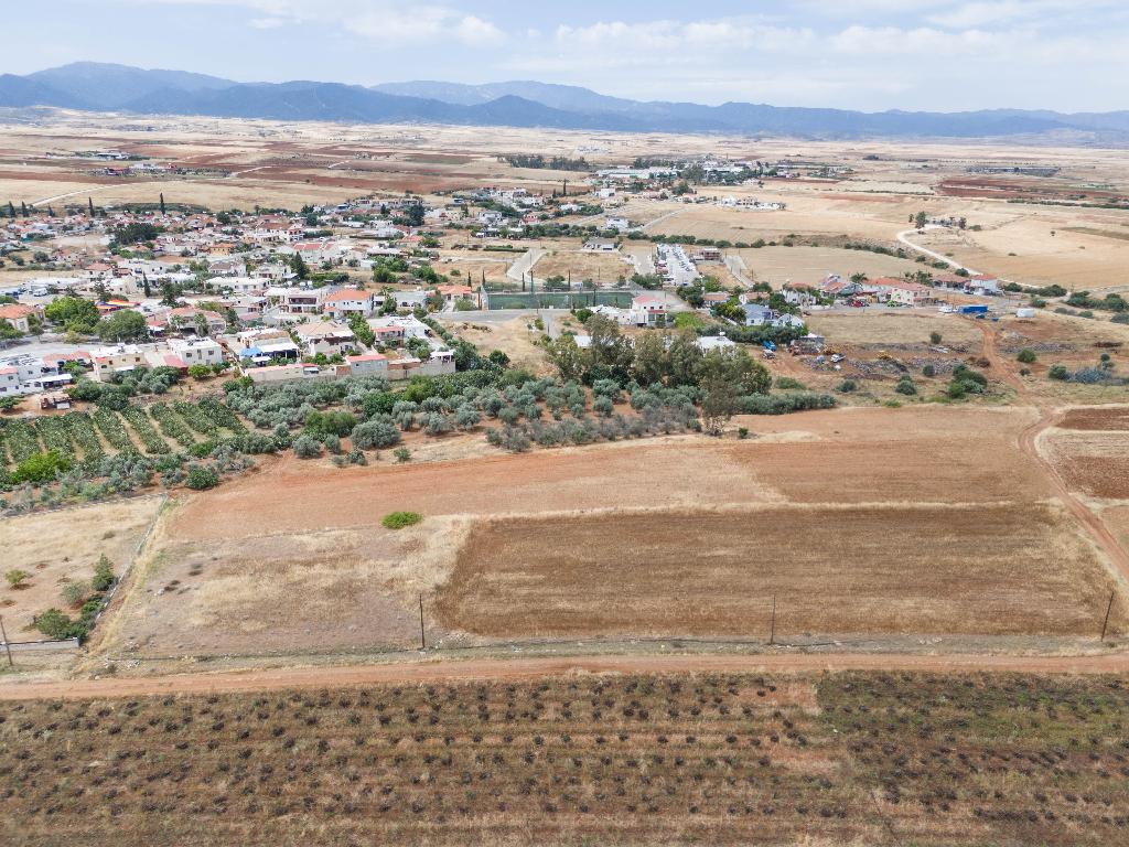Field - Astromeritis, Nicosia